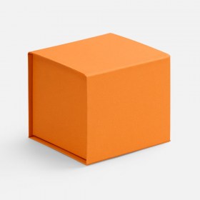 788720_1