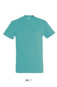 ag11500237-s_1