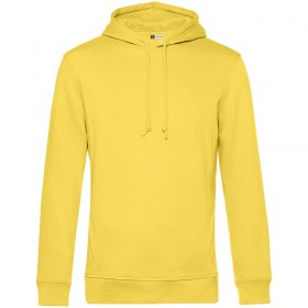 wu33b205_1